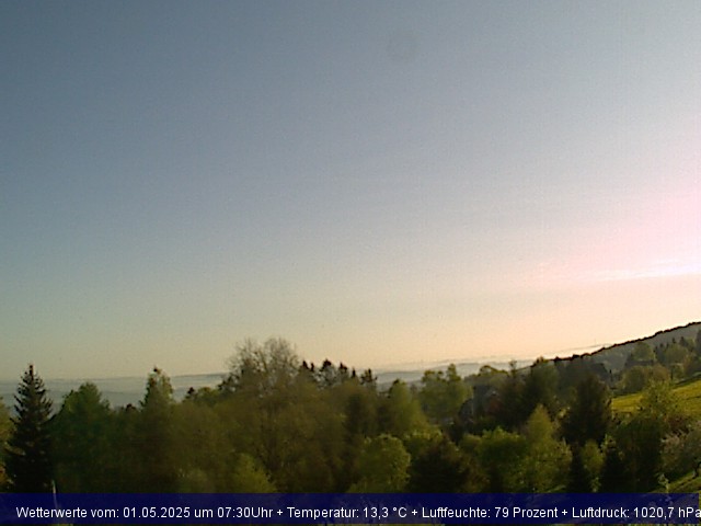 Webcambild