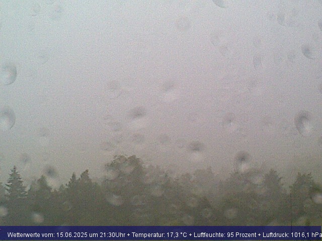 Webcambild