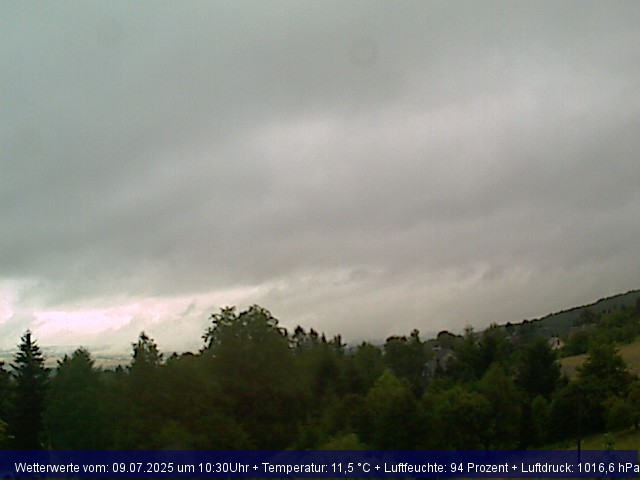 Webcambild