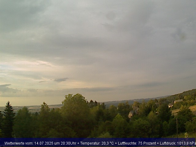 Webcambild