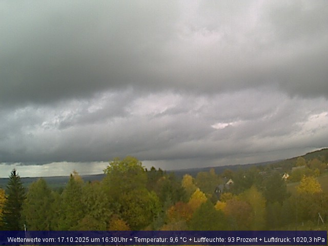 Webcambild