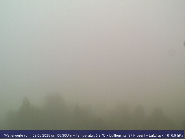 Webcambild