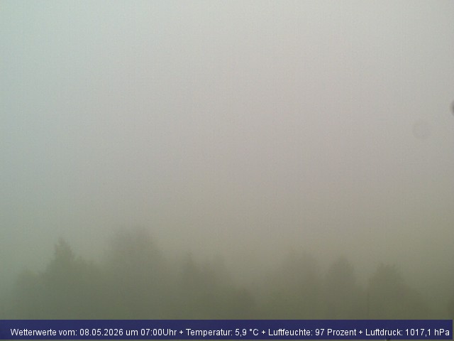 Webcambild