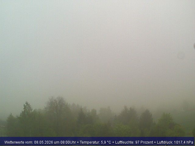 Webcambild