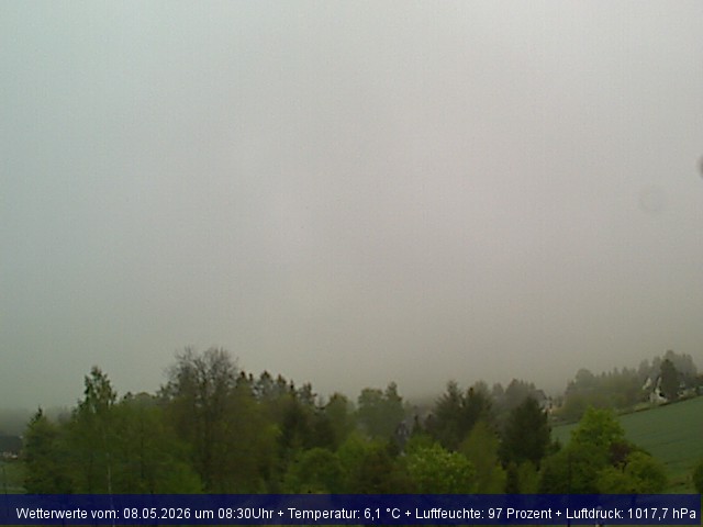 Webcambild