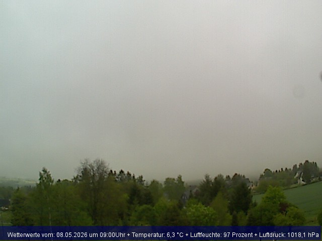 Webcambild