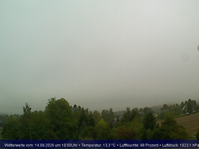 Webcambild